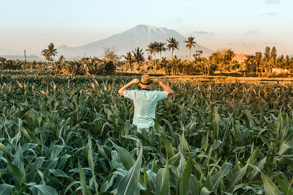 US expat hiking toward mountain in southeast Asia