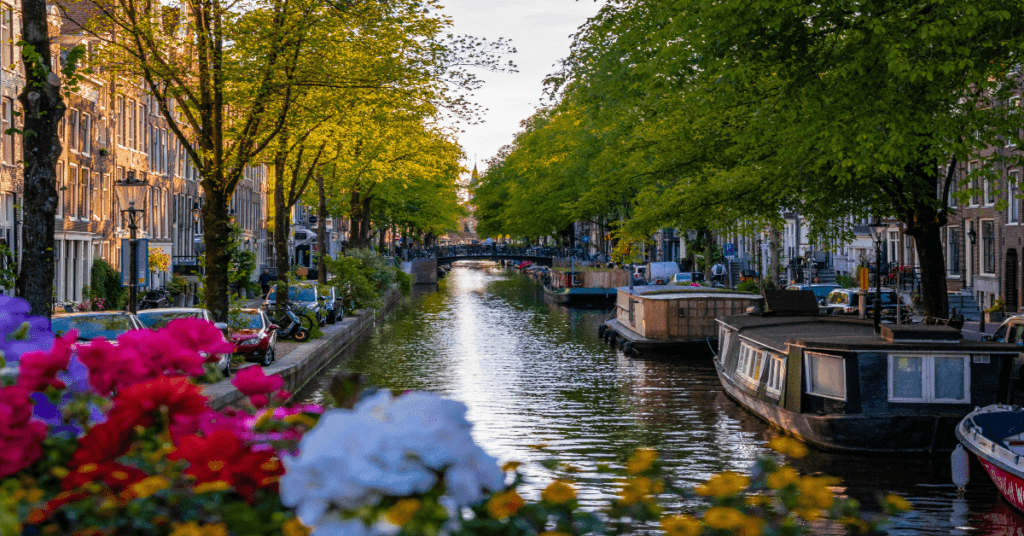 Expat Tax Guide for Americans Living in the Netherlands 
