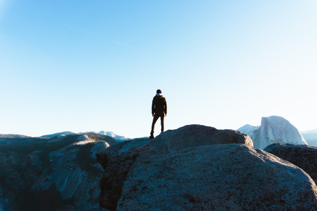 Form 1118: Claiming the Foreign Tax Credit for Corporations