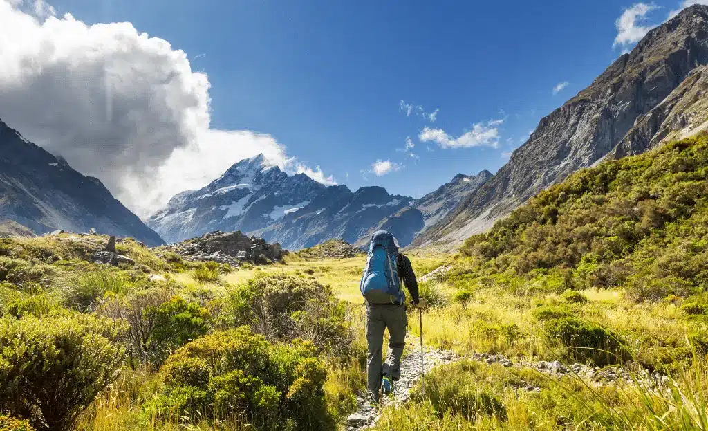 New Zealand Tax Rates and Tips for US Expats 