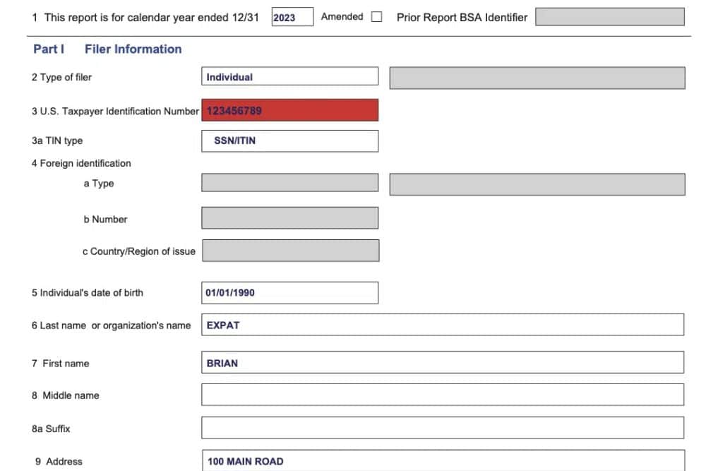 Fincen 114 IRS