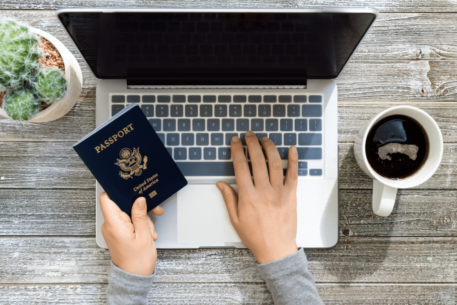 Cities and States Leading the Passport Renewal Surge Greenback Expat