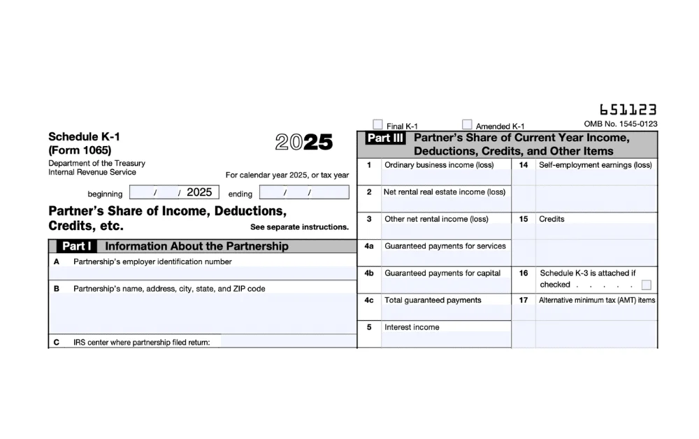 Schedule K-1 (Form 1065) for Expats Explained: Partnership Income Reporting